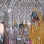 Vraj-Yatra-2014- (2494)